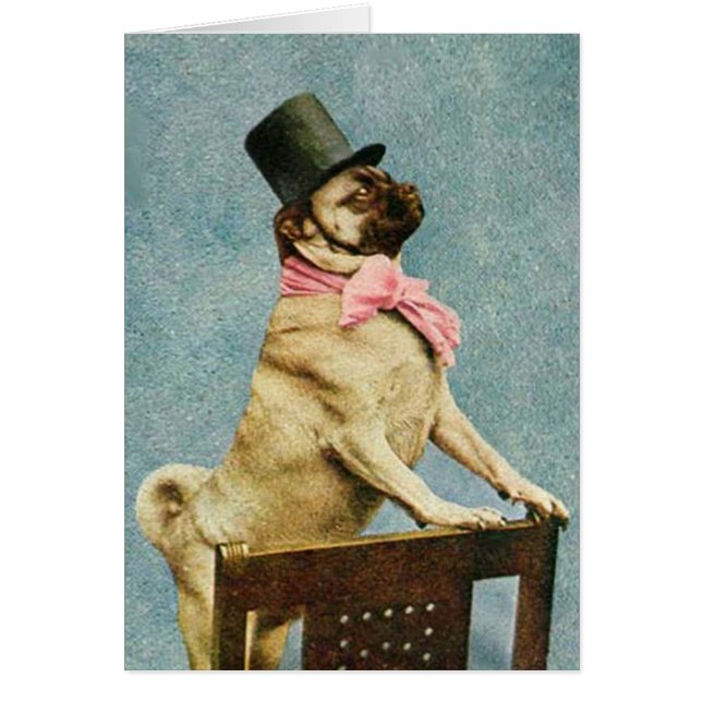 Vintage Pug Dog Stereoview Card (Frente)