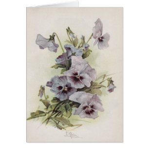 Vintage - púrpura y pensamientos de Lavendar,