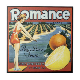 Vintage que baña la teja del arte de la etiqueta
