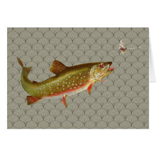 Vintage Rainbow Trout Fly Fishing
