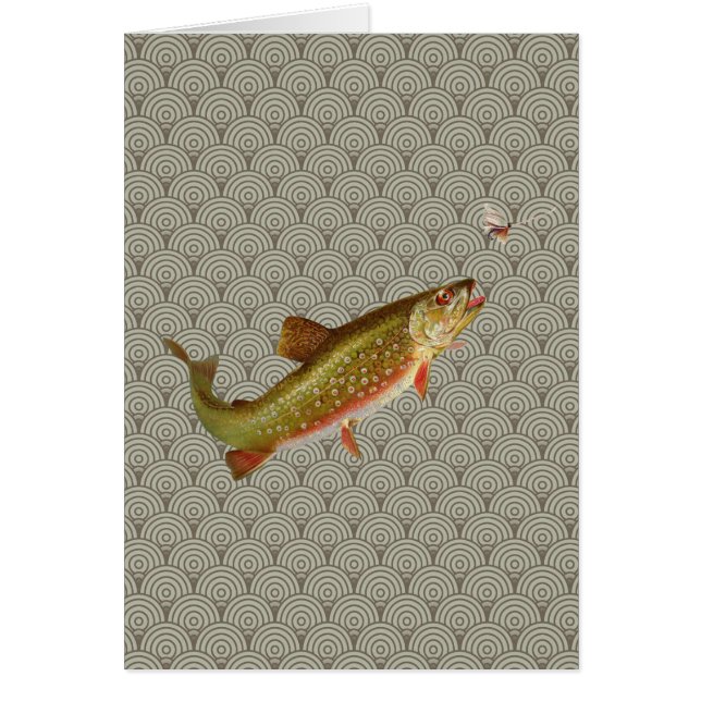 Vintage Rainbow Trout Fly Fishing (Frente)