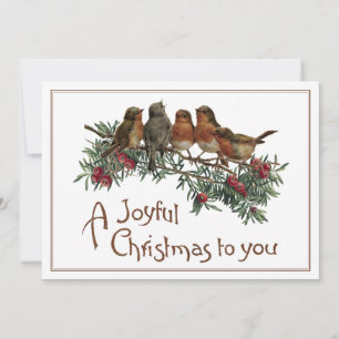 Vintage Robin Bird Navidad Evergreen Alegre