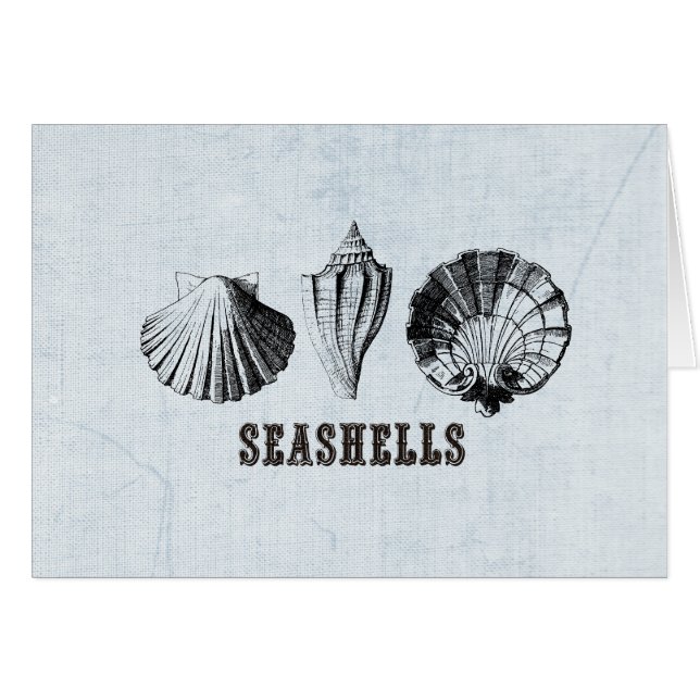 Vintage Seasheles (Anverso (Horizontal))