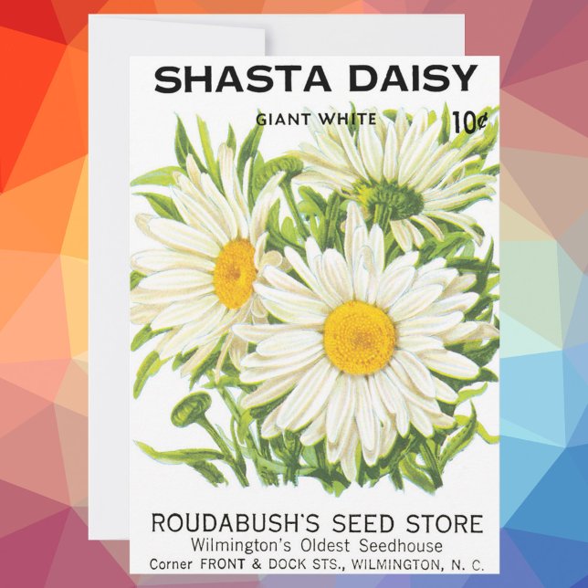 Vintage Seed Packet Art, Shasta Daisy Flowers (Subido por el creador)