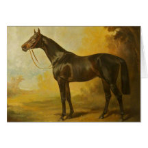 Vintage Thoroughbred Horse