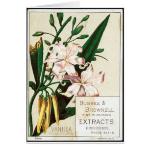 Vintage Vanilla