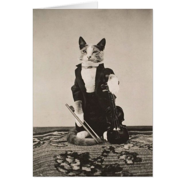 Vintage - violinista del gato, (Frente)