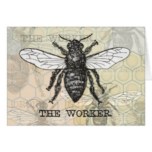 Vintage Worker Bee Ilustracion Art