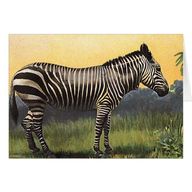 Vintage Zebra in the African Savannah, animal salv (Anverso (Horizontal))