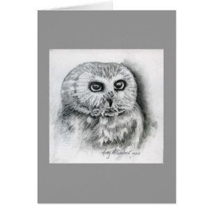 "Vio para amolar el búho "