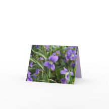 Viola tarjeta de nota horizontal en blanco