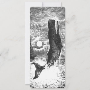 Violación de esperma de vintage de ballenas, anima