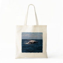 Violación de la ballena jorobada - la bolsa de