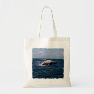 Violación de la ballena jorobada - la bolsa de