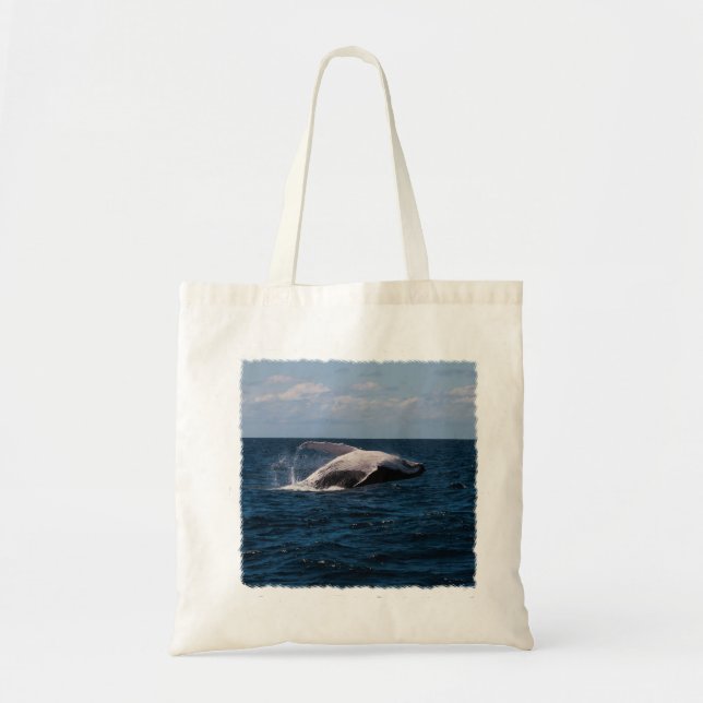 Violación de la ballena jorobada - la bolsa de (Frente)