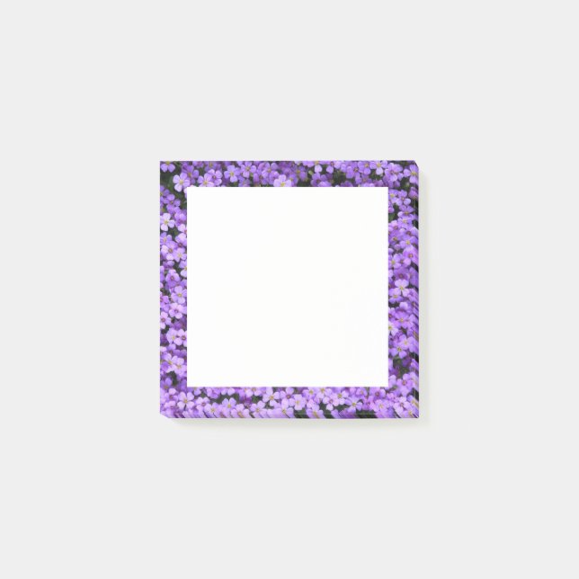 Violet Flowers publica notas violetas (Anverso)