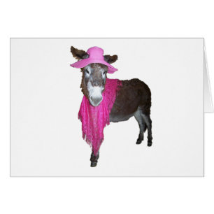 Violeta el burro vestido de rosa
