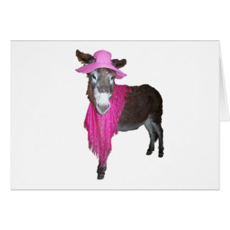 Violeta el burro vestido de rosa