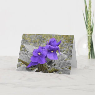 Violeta, tarjeta