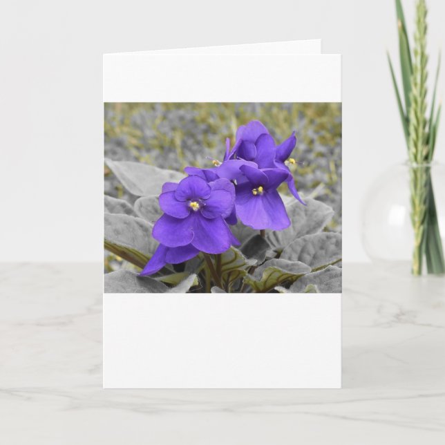 Violeta, tarjeta (Anverso)