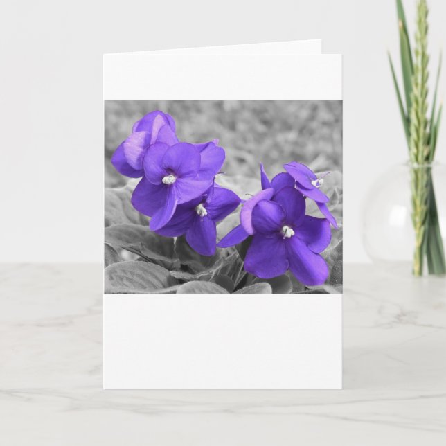 Violeta, tarjeta (Anverso)