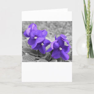 Violeta, tarjeta