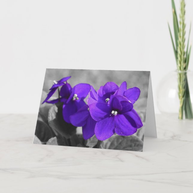 Violeta, tarjeta (Anverso)