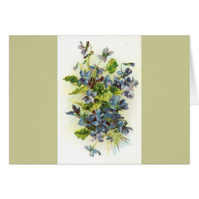 violetas (Anverso (Horizontal))