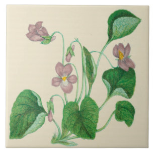 Violetas de la baldosa cerámica de la cocina del