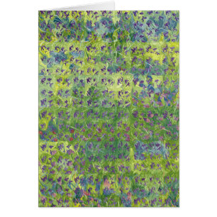 Violetas dulces 2012