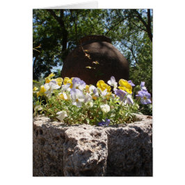 Violetas en un abrevadero de piedra.