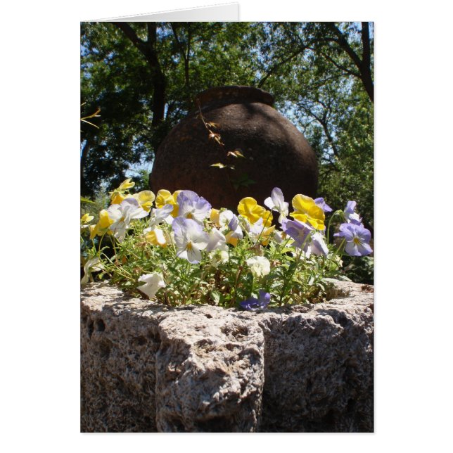 Violetas en un abrevadero de piedra. (Frente)
