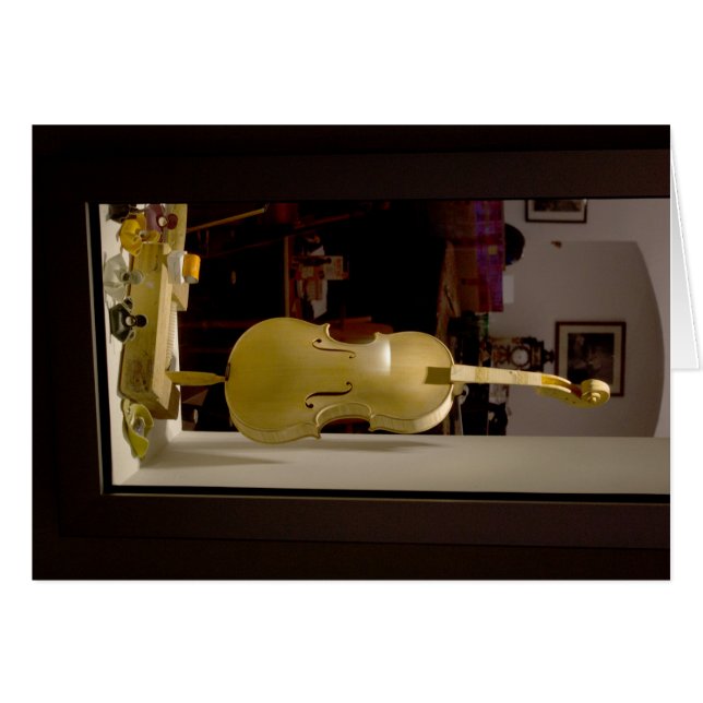 Violin En La Ventana De Compras (Anverso (Horizontal))