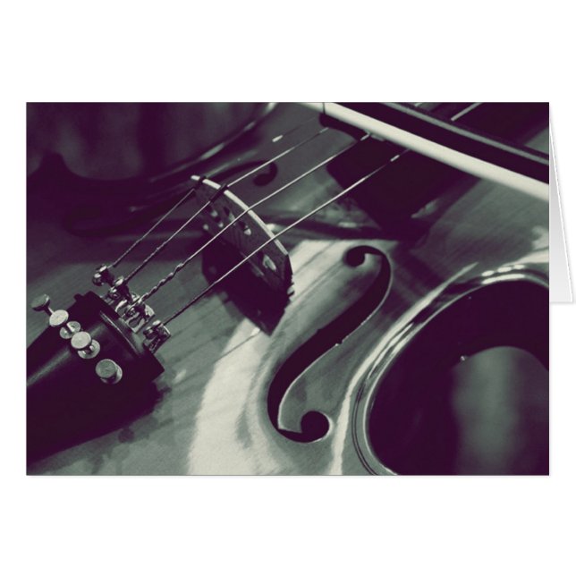 Violin Viola Cello l Photography (Anverso (Horizontal))