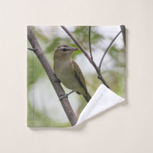 Vireo teñido de rojo: Naturaleza
