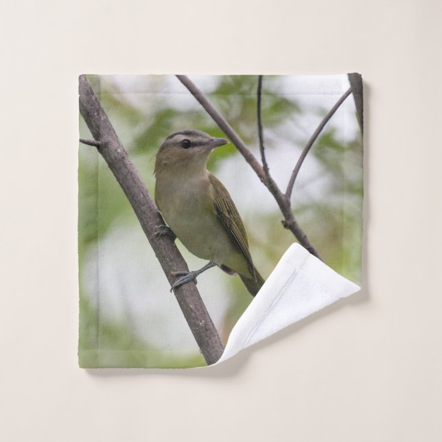 Vireo teñido de rojo: Naturaleza (Toallita)