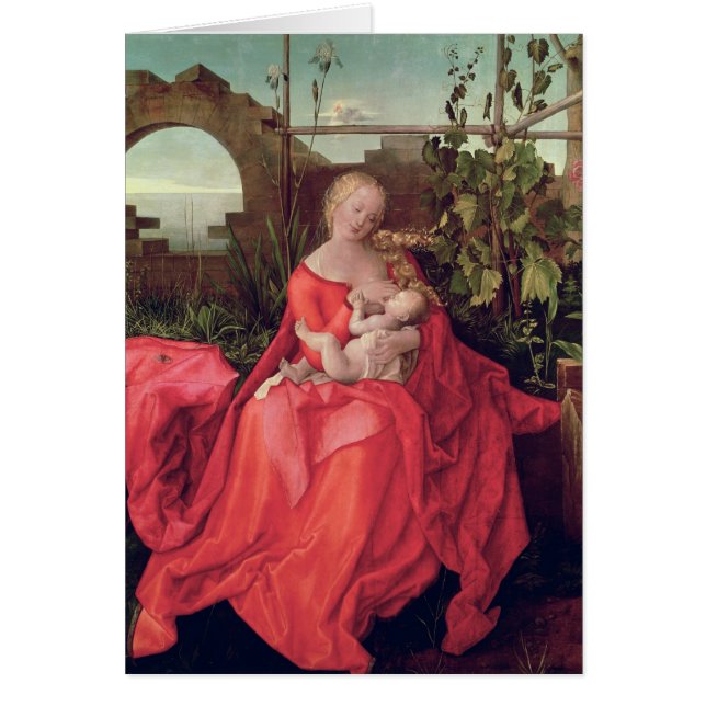 Virgen y niño "Madonna con el iris", 1508 (Frente)