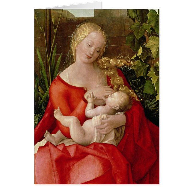 Virgen y niño "Madonna con el iris", 1508 (Frente)