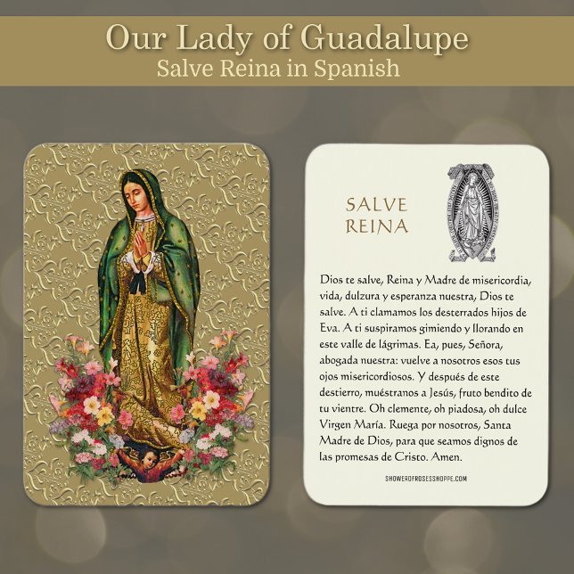 Virgin Mary Salve Reina Oración Española Tarjeta S (Featuring a beautiful image of Our Lady of Guadalupe with the Hail Holy Prayer in Spanish.)
