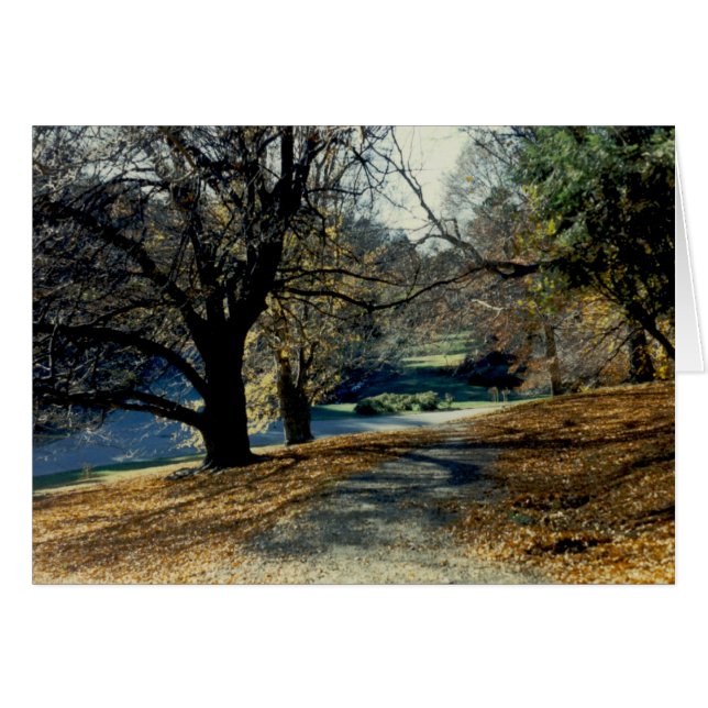 Visión a través de la arboleda de la haya (Anverso (Horizontal))