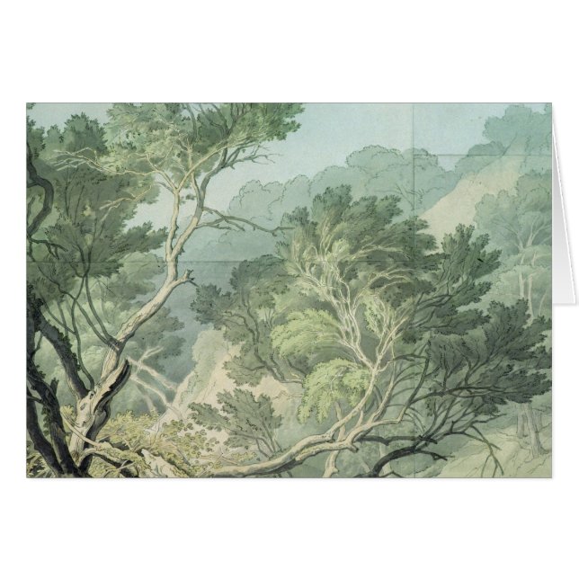 Visión cerca de Fordlands, Exeter (Anverso (Horizontal))