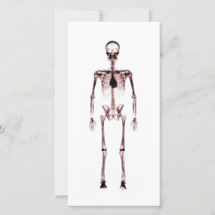 Visión de rayos X Un Skeleton Blanco Rojo