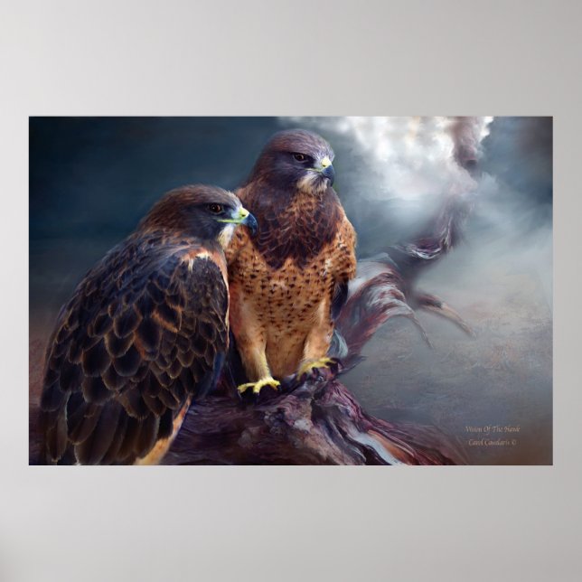 Visión Del Poster De Arte De Hawk/Impresión (Frente)