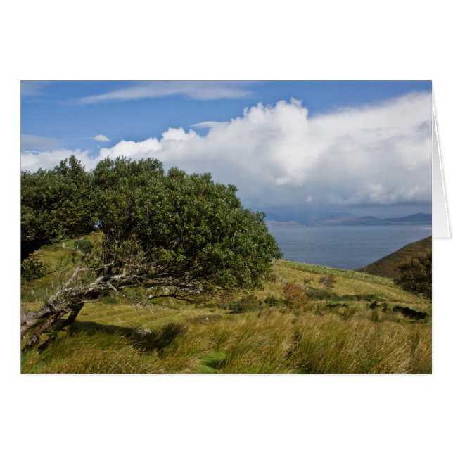 Visión desde la colina de Drung (Anverso (Horizontal))