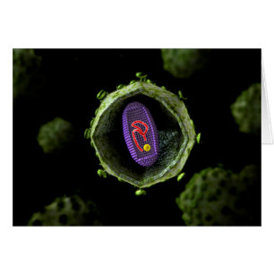 Visión Microscópica Del Virus Del VIH, Sección Cru