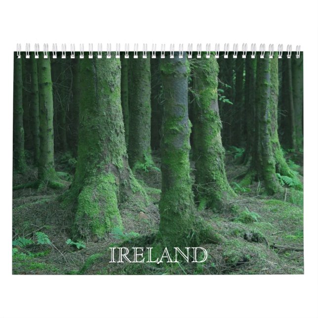 Visiónes desde el calendario de Irlanda (Tapa)