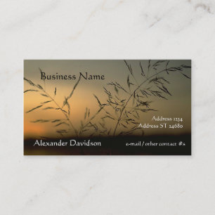 Visita Bus. Tarjeta - Silhouette de hierba