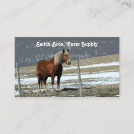 Visita Caballo Borrador Belga En Tarjeta De Negocio Paddo
