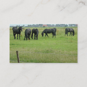 Visita Caballos frisios en pequeña tarjeta de la foto de