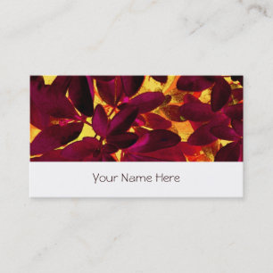 Visita Choisya Autumn tarjeta de negocios stripe white